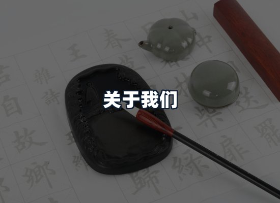 关于我们